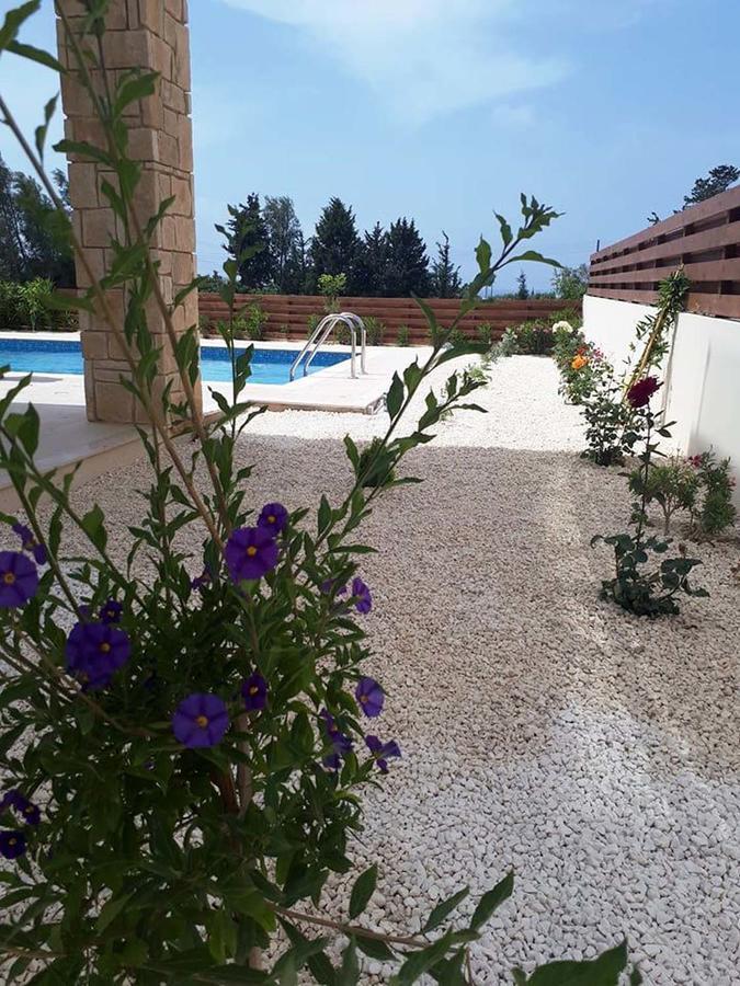 Olivia Villa 63 Paphos Exteriér fotografie
